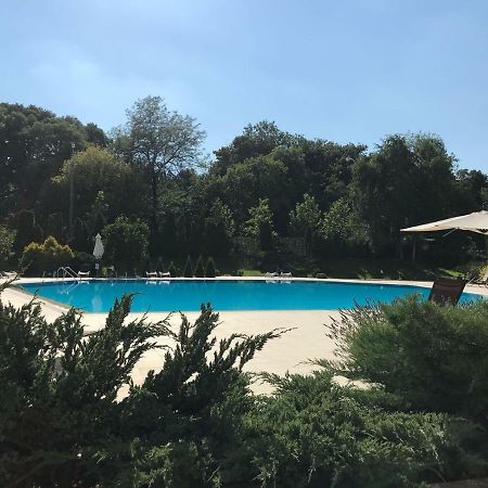 Nordului Herastrau Luxury Apartment Bukarest Exteriör bild